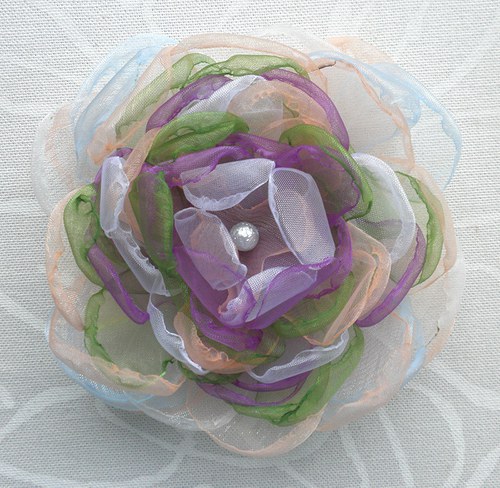 Letní leknínek — foto 2