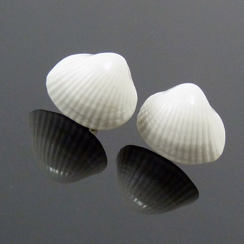 Sea Shell — foto 3