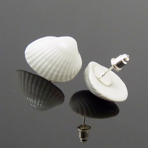 Sea Shell — foto 3