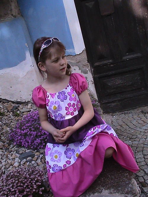 Fialová Letní Louka — foto 3