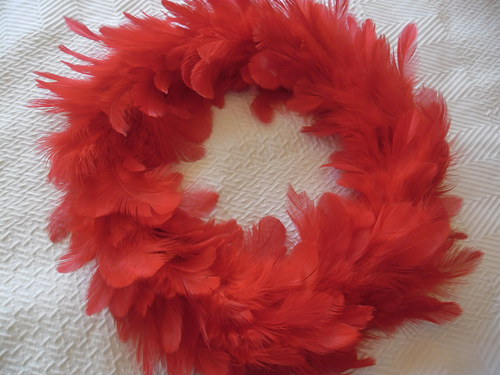 Peříčkový věneček — foto 5