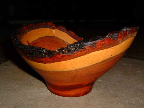 Hluboká švestka — foto 2