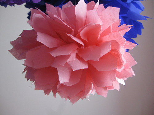 Pom poms na přání — foto 2