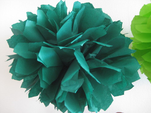 Pom poms na přání — foto 3