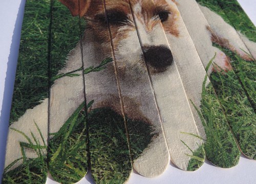 Puzzle které potěší — foto 2