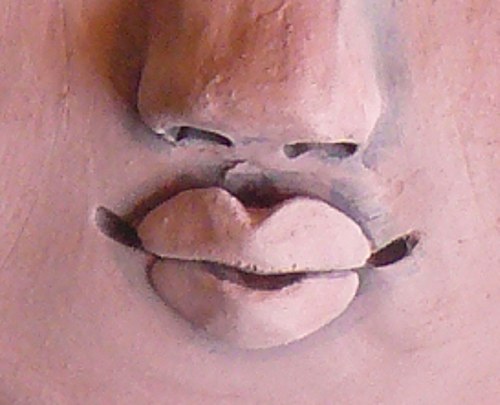 Ranní slunce — foto 5