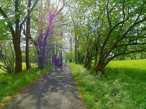 Kurzík na farmě a relax výlet — foto 3