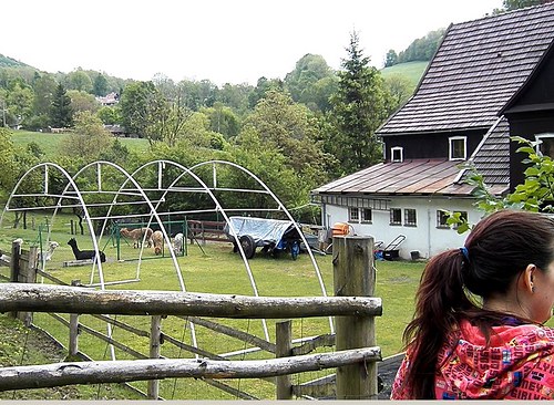 Kurzík na farmě a relax výlet — foto 4