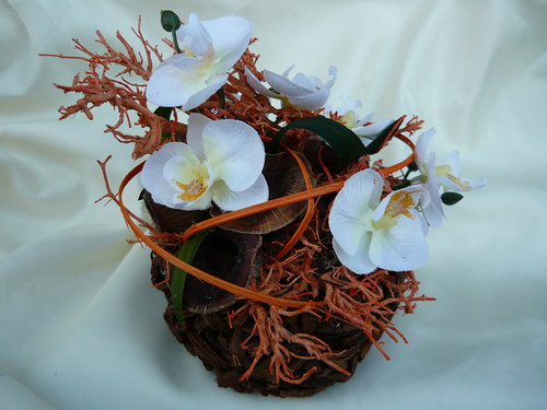Orchidea v košíku — foto 2