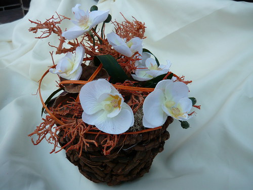 Orchidea v košíku — foto 3
