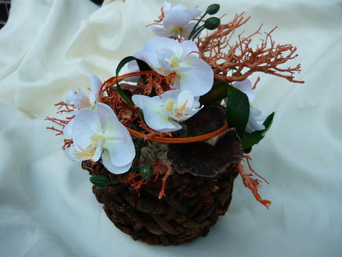 Orchidea v košíku — foto 4
