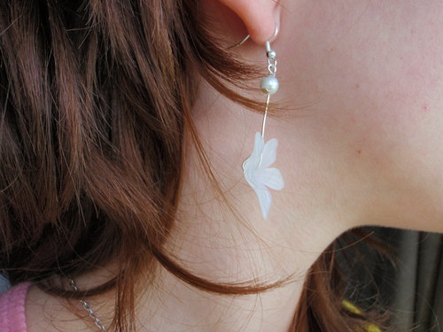 In bloom — foto 4