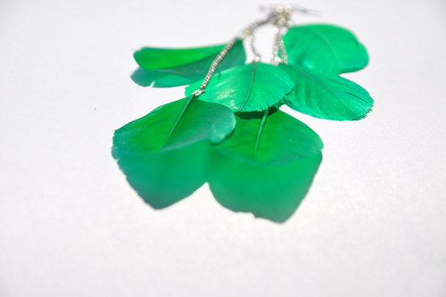 GreenDolkaBird — foto 4