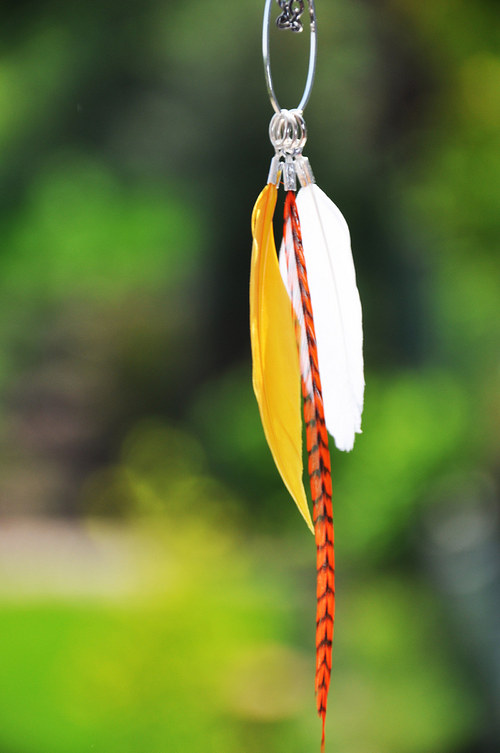 SummeEclipseBird. — foto 4