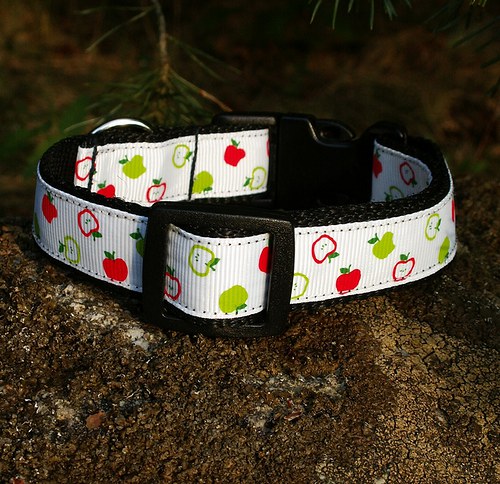Jablíčkový obojek bílý 25 - 35 cm — foto 2