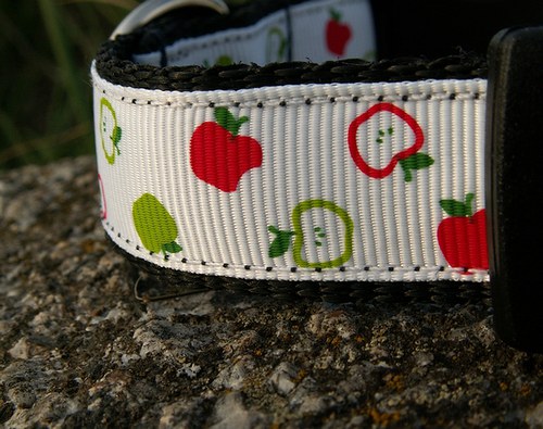 Jablíčkový obojek bílý 25 - 35 cm — foto 5