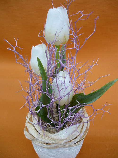 Tulipány v trní — foto 3
