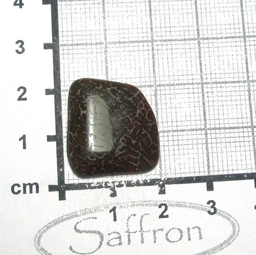 Dinosauří kost č.04 — foto 2