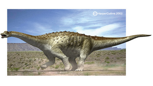 Dinosauří kost č.04 — foto 3