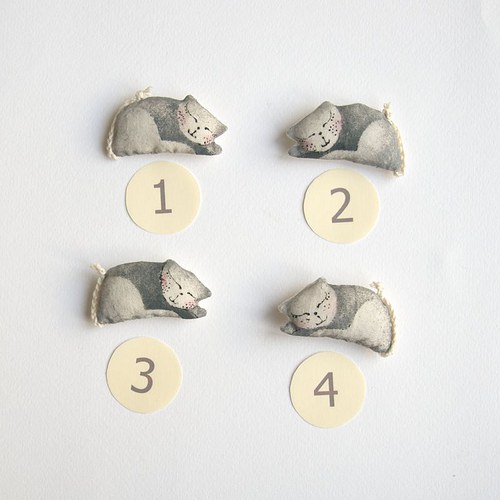 Pocket cat- Kotě do kapsy — foto 2