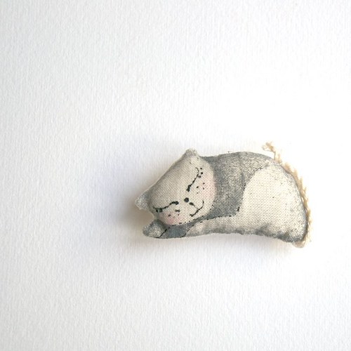 Pocket cat- Kotě do kapsy — foto 4