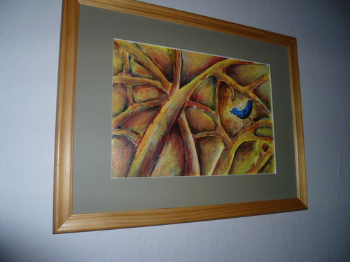 Modrý ptáček — foto 3