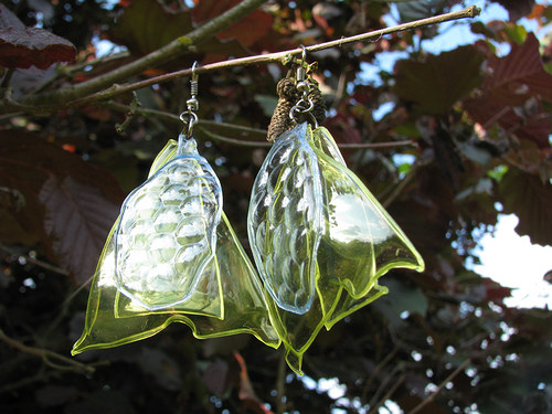 Colias hyale — foto 6