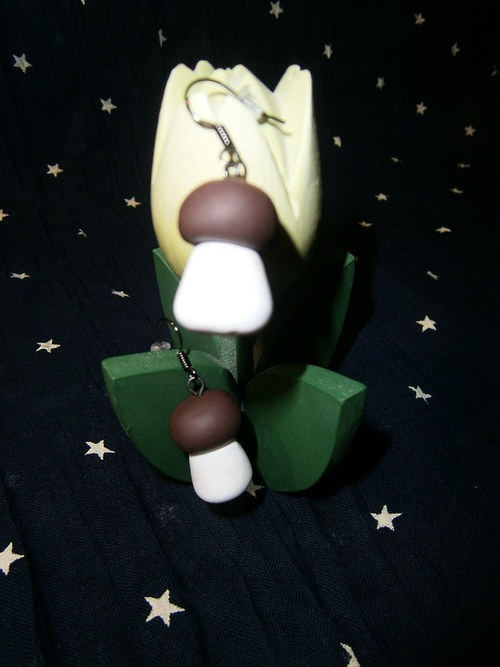 Mushrooms — foto 3