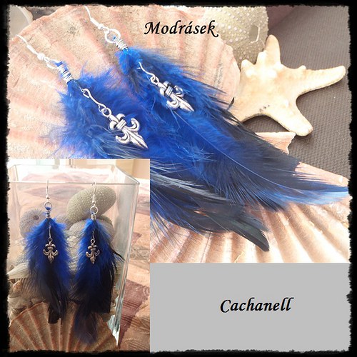 Modrásek — foto 2
