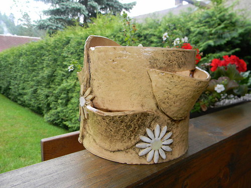 Bylinkáč — foto 2