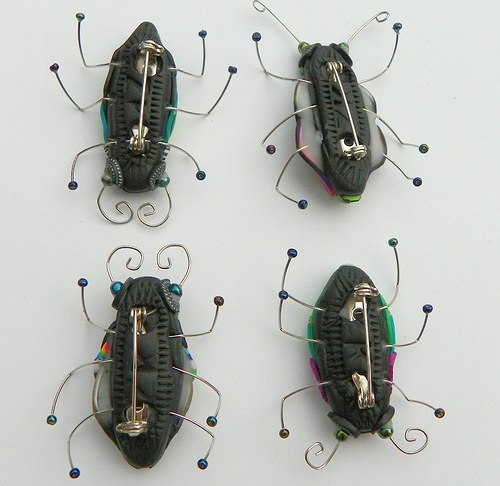 Brož hmyzák černobíloduhový — foto 4