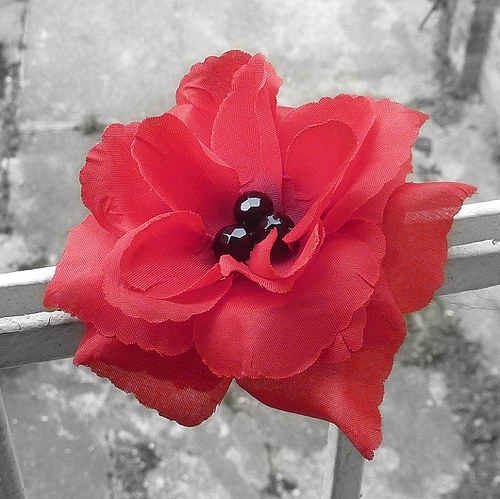 Flower — foto 3
