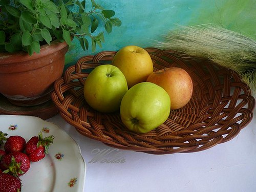Ošatka tažená hnědá..... — foto 5