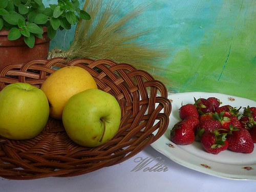 Ošatka tažená hnědá..... — foto 6