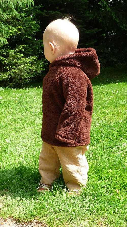 Mikina z wellsoftu — foto 3