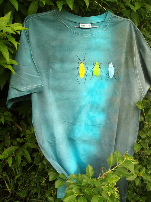 Brouci 3 — foto 3