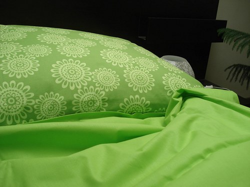 Květy Lime — foto 5