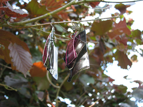 Blackcurrant — foto 3