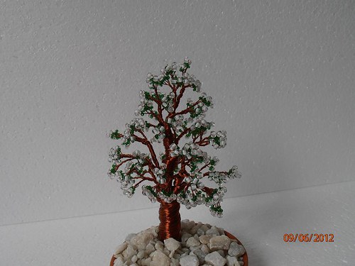 Kvetoucí stromek — foto 2