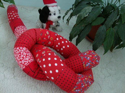 Žížala Sofie — foto 3