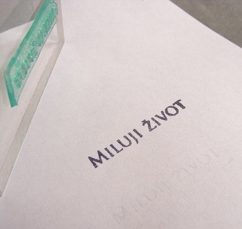 Miluji život — foto 2