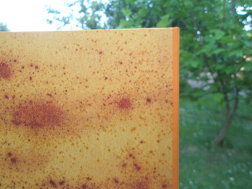 Oranžová sypaná — foto 5