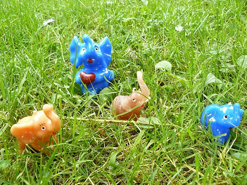 Slon s dlouhým chobotem — foto 2