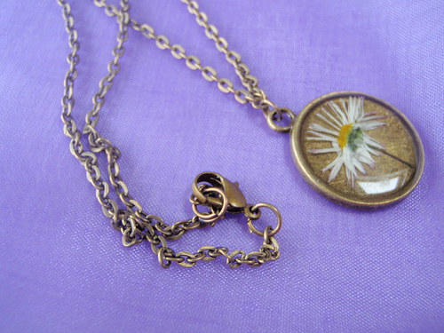 Daisy — foto 3