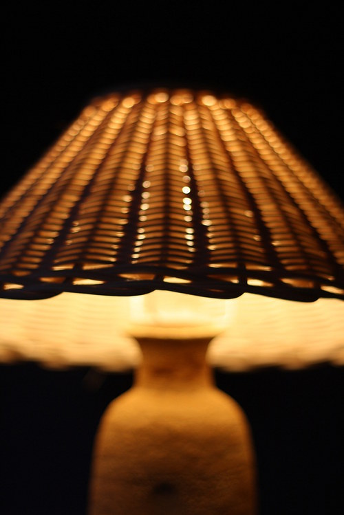 Lampa kníratá — foto 6