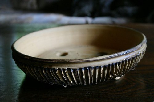 Bonsaiky — foto 2