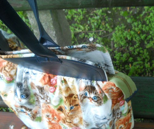 Blue eyed kittens-SLEVA z 990,- — foto 4