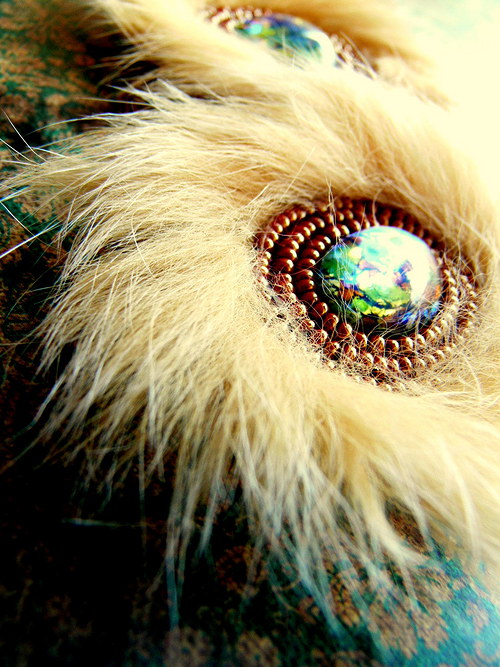 Lapin beige — foto 4
