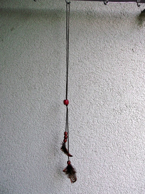 Divoký — foto 3