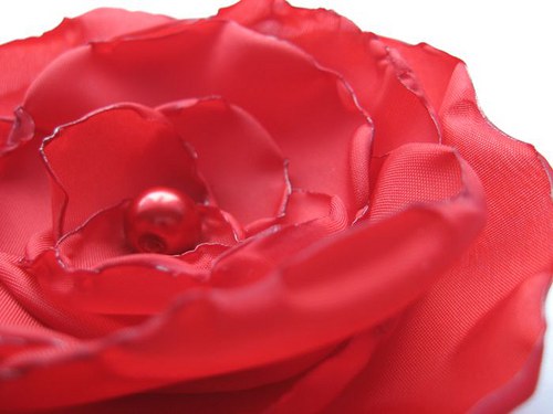 Amadeus ®...- kolekce Odrůdy růží... — foto 3